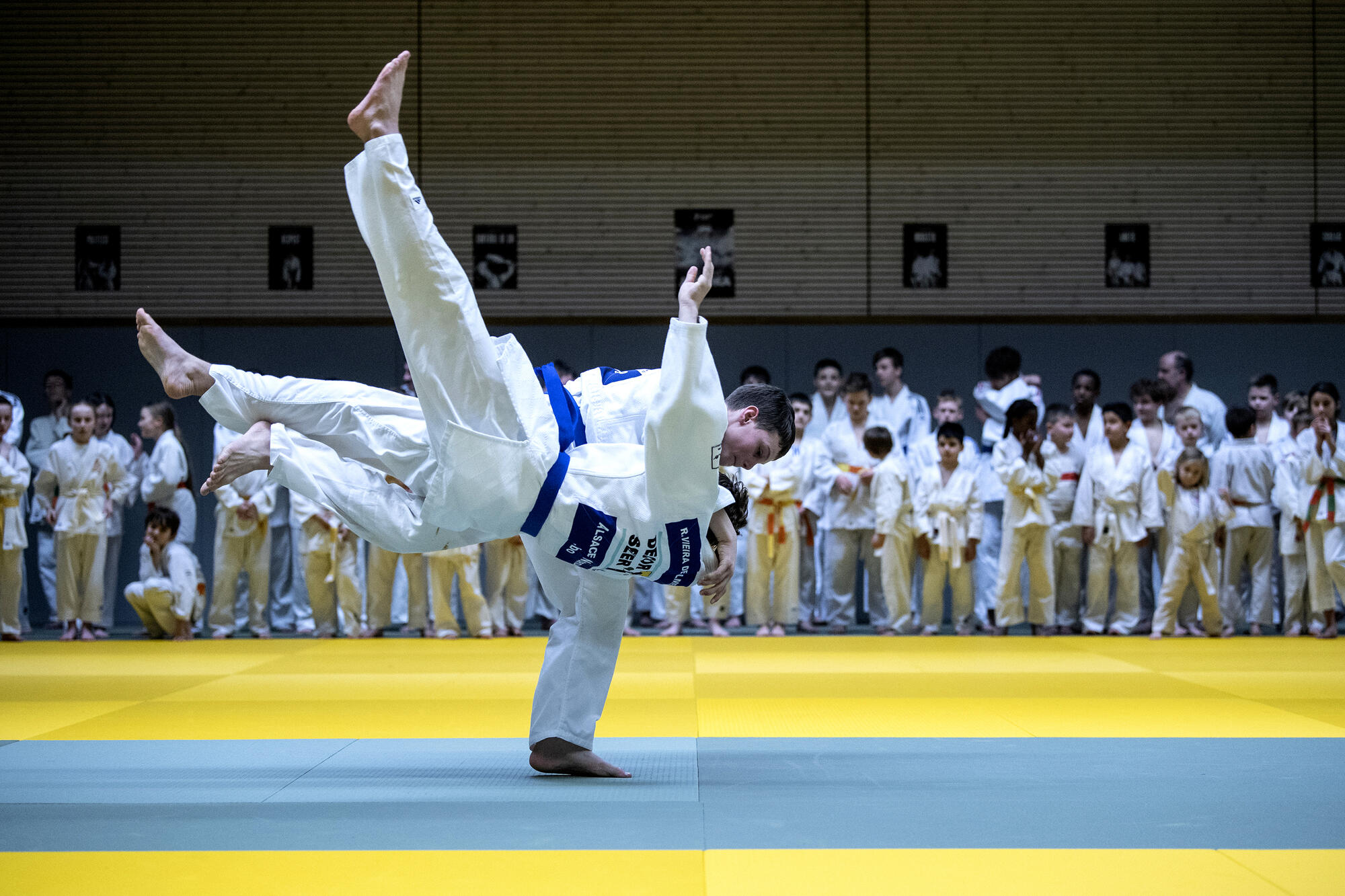 Compétition officielle de judo